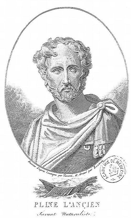 Plinio el Viejo